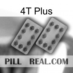 4T Plus 20